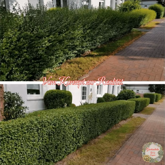 Vorher und nachher: lange Gartenhecke