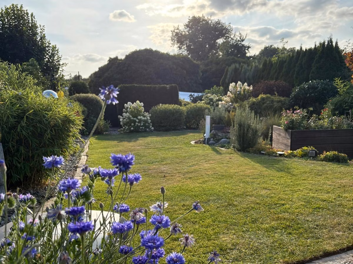 Gepflegter Garten mit Rasen, blühenden Beeten und geschnittenen Gehölzen